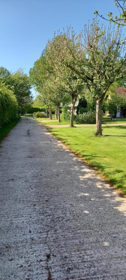 Bed and Breakfast La Ferme Aux Canards Sassetot-le-Mauconduit Zewnętrze zdjęcie